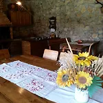 Casa Serban Pensiune *