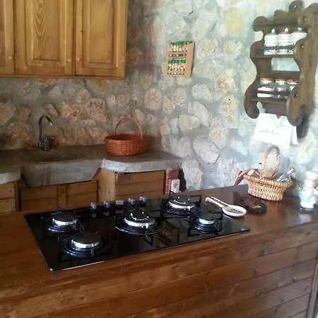 Pensjonat Casa Serban