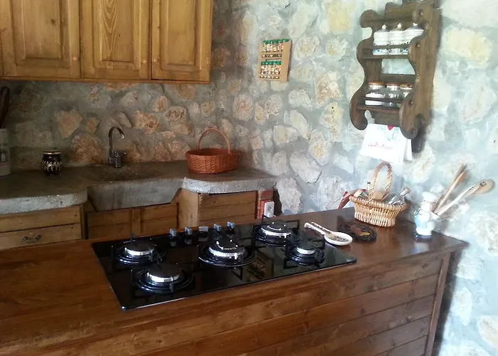 게스트하우스 Casa Serban