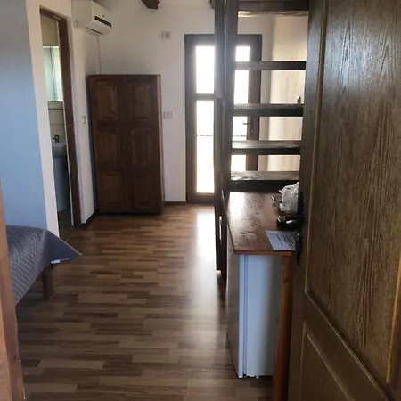 Casa Serban Guest house