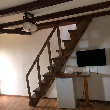 Casa Serban Guest house *