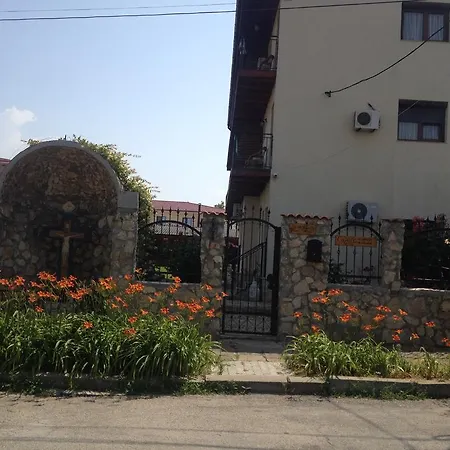 Casa Serban Guest house *