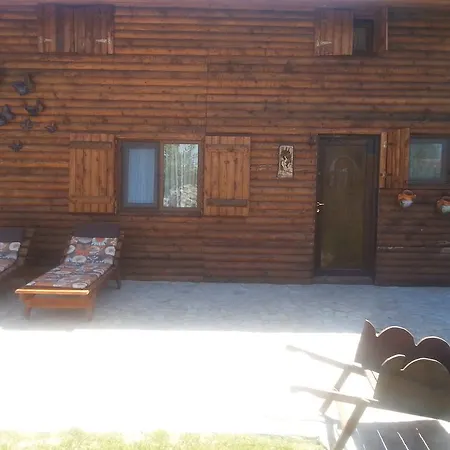 Casa Serban Guest house