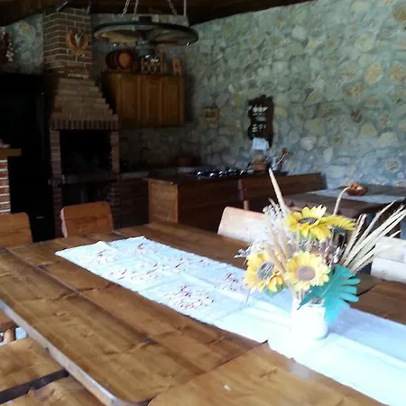 Casa Serban Guest house *