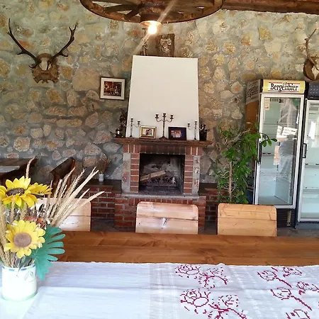 Casa Serban Guest house *