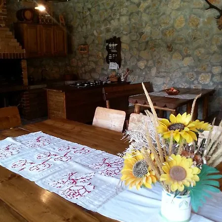 Casa Serban Guest house *