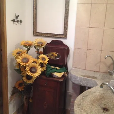 Casa Serban Guest house