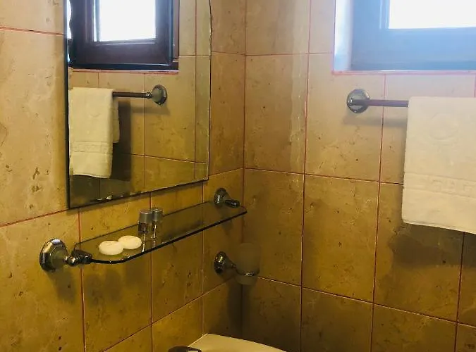 Guest house Casa Serban