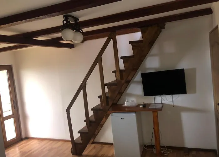 Casa Serban Guest house *