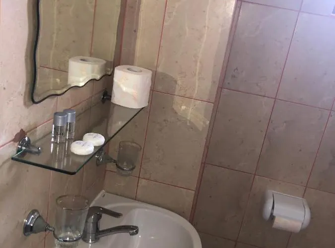 Guest house Casa Serban *