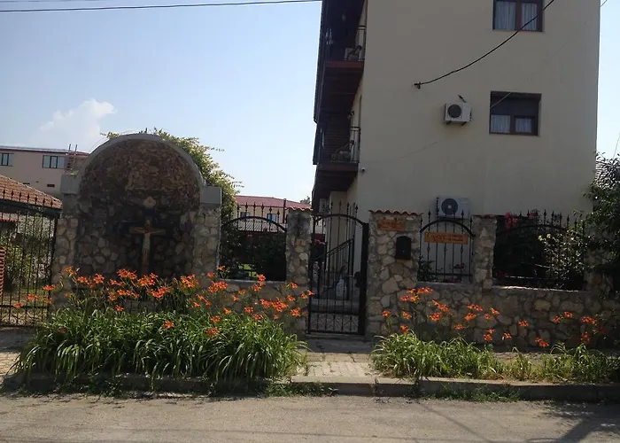 Casa Serban Guest house *