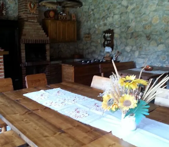 Casa Serban Maison d'hôtes *