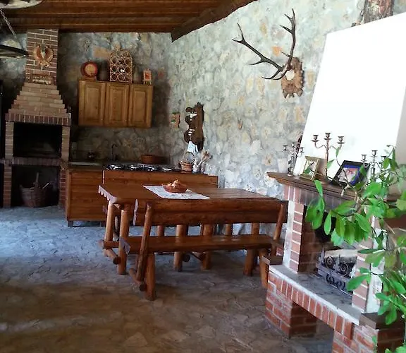 Casa Serban Guest house *