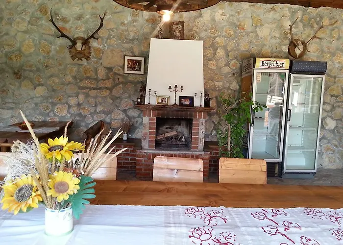 Casa Serban Guest house *