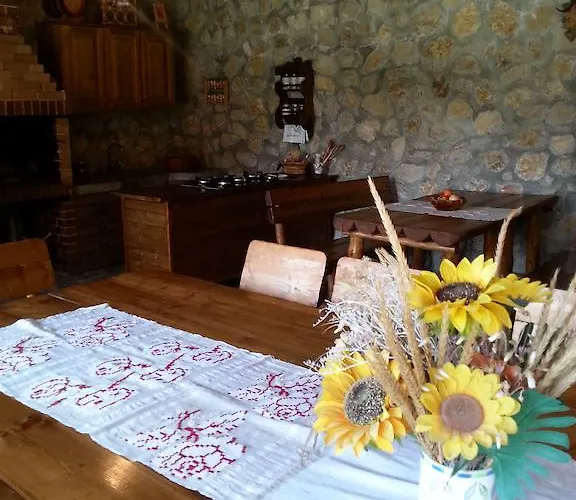 Casa Serban Guest house *