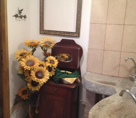 Casa Serban Guest house